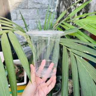 Ly nhựa 800ml PP mini - /1 thùng 1000 cái