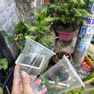 Ly nhựa 500ml PP - mỏng trơn /1 thùng 1000 cái