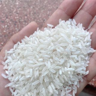 GẠO NỞ MỀM CƠM