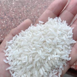 GẠO NỞ MỀM CƠM