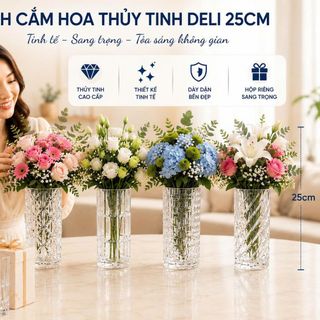 BÌNH CẮM HOA THUỶ TINH 25cm DELI DSHP130-250L1 (T12)