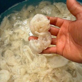 Sứa chén - Túi 500g luôn nước 1kg (giao hcm)