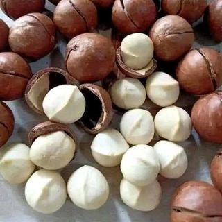 Macca Sỉ Giá Gốc