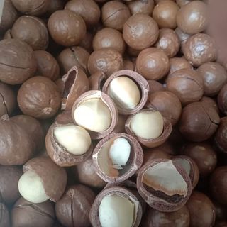Macca Sỉ Giá Gốc