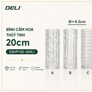 BÌNH CẮM HOA THUỶ TINH 20cm DELI DSHP130-200L1 (T24)
