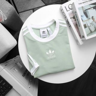 Áo thun nam.  Chất cotton 4C 100%  cao cấp, mịn đẹp. Form slim. Unisex nam nữ đều mặc được.