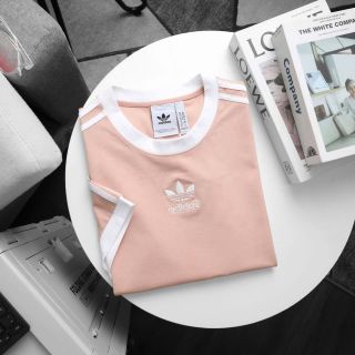 Áo thun nam.  Chất cotton 4C 100%  cao cấp, mịn đẹp. Form slim. Unisex nam nữ đều mặc được.