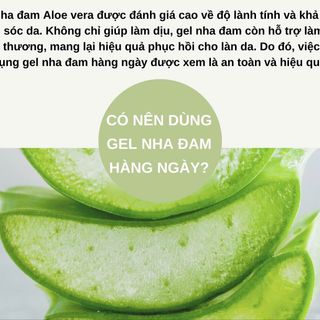 Gel nha đam Hàn Quốc 300ml