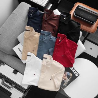 Mẫu áo polo nam. Áo chất xuất dư 100% cotton.