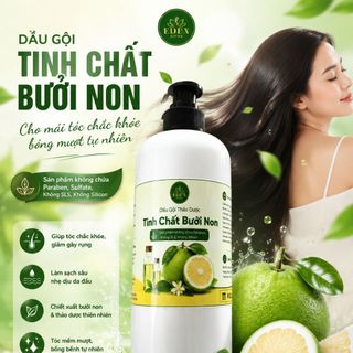 Dầu gội thảo dược bồ kết ,nàng sen tinh chất bưởi non chai 1lít