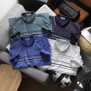 ÁO THUN CỔ BẺ THIẾT KẾ CAO CẤP POLO PACK VOGUES - THỜI TRANG HC