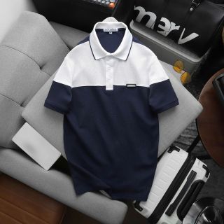 ÁO THUN CỔ BẺ THIẾT KẾ CAO CẤP POLO PACK P1 - THỜI TRANG HC