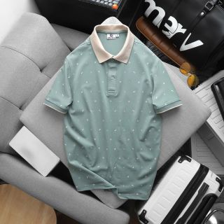 ÁO THUN CỔ BẺ THIẾT KẾ CAO CẤP POLO FOM BODY SRB 23- THỜI TRANG HC