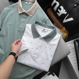 ÁO THUN CỔ BẺ THIẾT KẾ CAO CẤP POLO FOM BODY SRB 23- THỜI TRANG HC