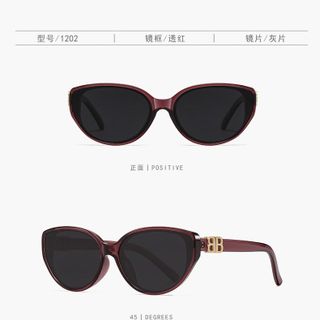 Kính Râm Brown Luxury Fashion TT94