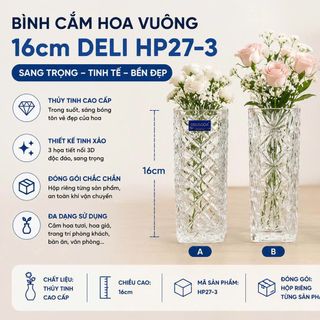 BÌNH CẮM HOA THUỶ TINH VUÔNG DELI 16cm HP27-3 (T24)