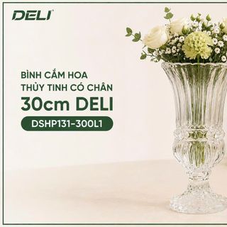 BÌNH CẮM HOA THUỶ TINH CÓ CHÂN 30cm DELI DSHP131-300L1 (T6)