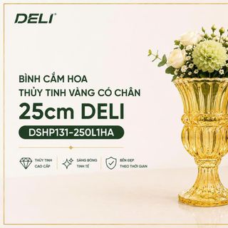 BÌNH CẮM HOA CÓ CHÂN 25CM DELI VÀNG DSHP131-250L1HA (T12)