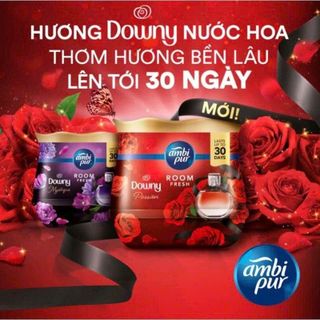 SÁP THƠM AMBI PUR HƯƠNG NƯỚC HOA DOWNY (T12)