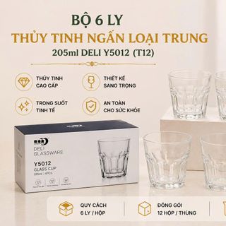 BỘ 6 LY THUỶ TINH NGẤN LOẠI TRUNG 205ml DELI Y5012 (T12)