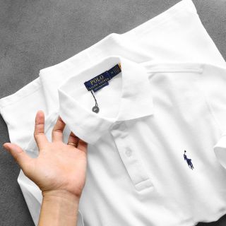 Áo thun polo nam. áo chất cotton cá sấu 4c cao cấp xịn.
