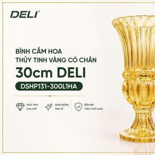 BÌNH CẮM HOA CÓ CHÂN 30CM DELI VÀNG DSHP131-300L1HA (T6)