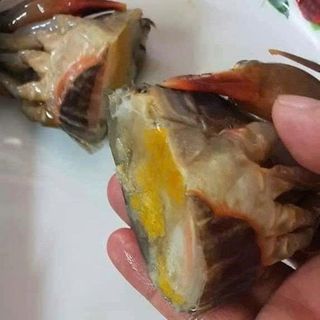 Cua Lột size 6-8 con - Hộp 1Kg net7 ( Giao HCM )