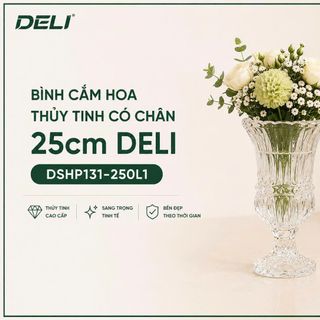 BÌNH CẮM HOA THUỶ TINH CÓ CHÂN 25cm DELI DSHP131-250L1 (T12)
