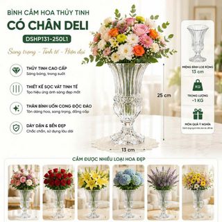 BÌNH CẮM HOA THUỶ TINH CÓ CHÂN 25cm DELI DSHP131-250L1 (T12)
