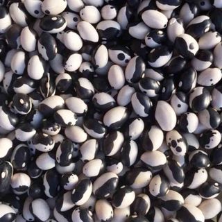 Đậu mắt ngọc tươi Đà Lạt nguyên liệu healthy dễ chế biến
