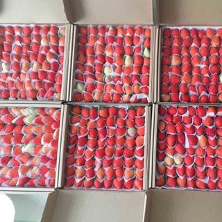 Dâu tây Đà Lạt tươi giao tại TP.HCM