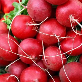 Củ cải đỏ Đà Lạt tươi sạch giao nhanh TP.HCM