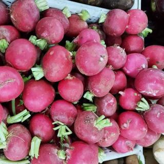 Củ cải đỏ Đà Lạt tươi sạch giao nhanh TP.HCM