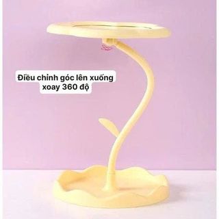 GƯƠNG TRANG ĐIỂM DECOR HÌNH HOA