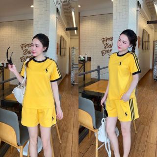 Bộ đùi thêu ngựa polo free size 45-62kg