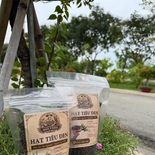 Hạt tiêu