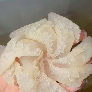 Sứa Rong Biển - Túi 500gr luôn nước 1kg ( giao TPHCM )