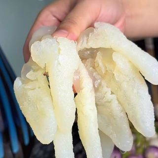 Sứa Rong Biển - Túi 500gr luôn nước 1kg ( giao TPHCM )