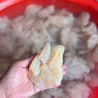 Sứa Chân Mèo - Bịch 500gr luôn nước 1kg ( GIAO TPHCM )