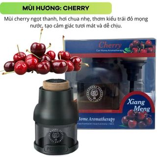 (BÁN SỈ) (CÓ SẴN)Nước Hoa Ô Tô BUSHINECO Home Perfume Hương Thơm Tự Nhiên Khử Mùi Ô Tô Hiệu Quả Dung Tích 100ML