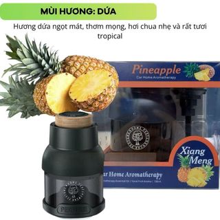 (BÁN SỈ) (CÓ SẴN)Nước Hoa Ô Tô BUSHINECO Home Perfume Hương Thơm Tự Nhiên Khử Mùi Ô Tô Hiệu Quả Dung Tích 100ML