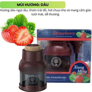 (BÁN SỈ) (CÓ SẴN)Nước Hoa Ô Tô BUSHINECO Home Perfume Hương Thơm Tự Nhiên Khử Mùi Ô Tô Hiệu Quả Dung Tích 100ML