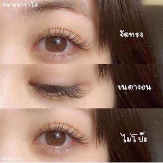 Lăn mi Genive dưỡng dài dày mi