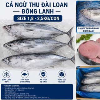 Cá Ngừ Thu Đài Loan Đông Lạnh Size 1,8–2,5kg/Con