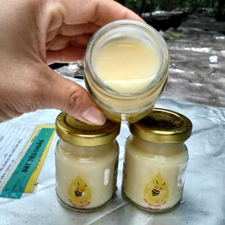 SỮA ONG CHÚA TƯƠI BẢO NGHI