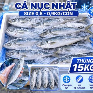 Cá Nục Nhật Đông Lạnh Size 0.6–0.9kg/Con – Thùng 15kg