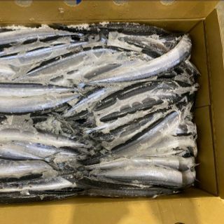 Cá thu đao Nhật nguyên con đông lạnh size 80-100g/con - Thùng 10kg
