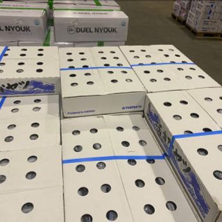 Cá thu đao Nhật đông lạnh size 80-100g/con - Thùng 10kg