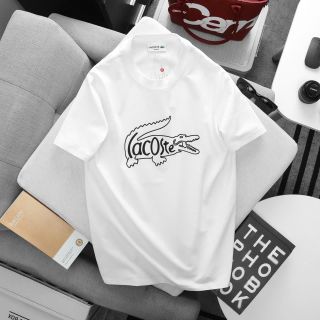 Áo thun LC nam.  Cotton 4 chiều.
