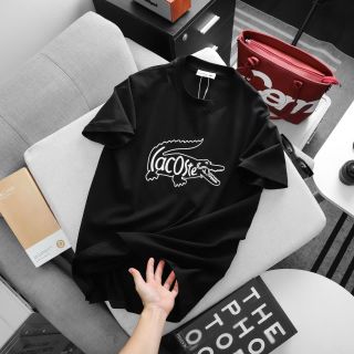 Áo thun LC nam.  Cotton 4 chiều.